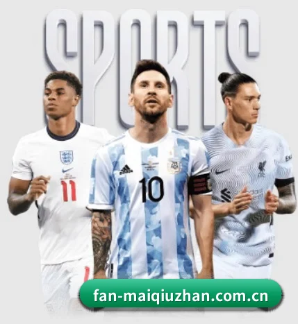 五大服务分区,信息按项目分类 - FIFA