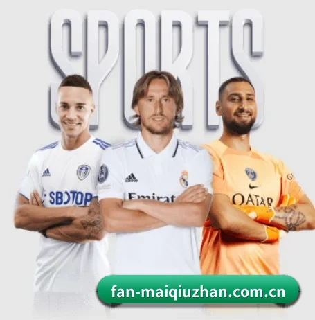 我们在做什么 - FIFA